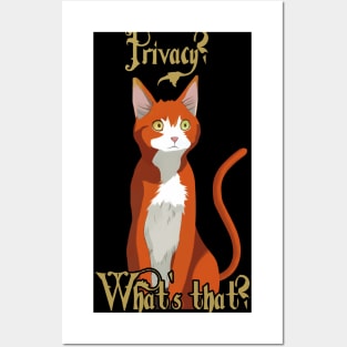 Funny Ginger Cat Wondering 'Privacy? What is that?' Posters and Art